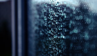 water dew focus photography